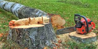 Reliable Westville, IN Tree Removal Solutions