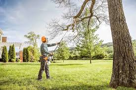 Best Tree Health Inspection  in Westville, IN