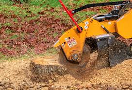Best Firewood Processing and Delivery  in Westville, IN