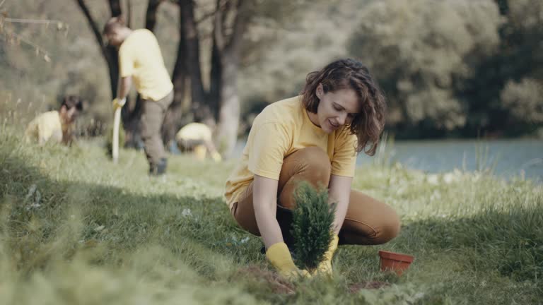 Best Lawn Renovation and Restoration  in Westville, IN