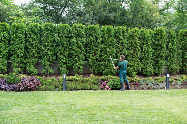 Best Weed Control  in Westville, IN