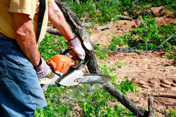 Lawn Pest Prevention in Westville, IN